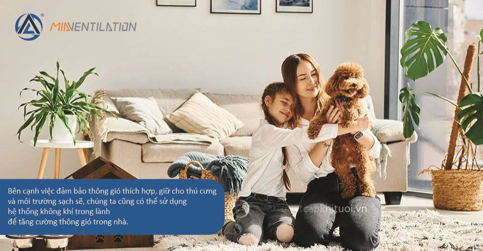 Bạn cũng đang khó chịu vì mùi hôi của thú cưng? Đây là một mẹo nhỏ!