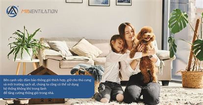 Bạn cũng đang khó chịu vì mùi hôi của thú cưng? Đây là một mẹo nhỏ!