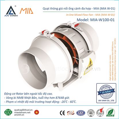 Quat thong gio noi ong MIA-W100-01 1