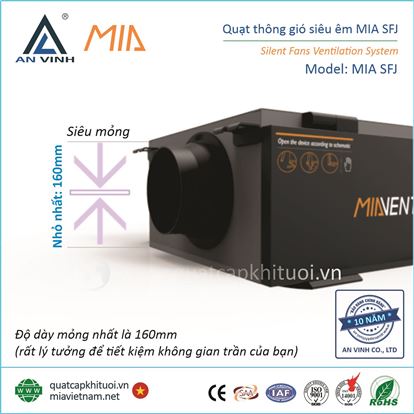 Quat thong gio sieu em MIA SFJ - quatcapkhituoi.vn 2